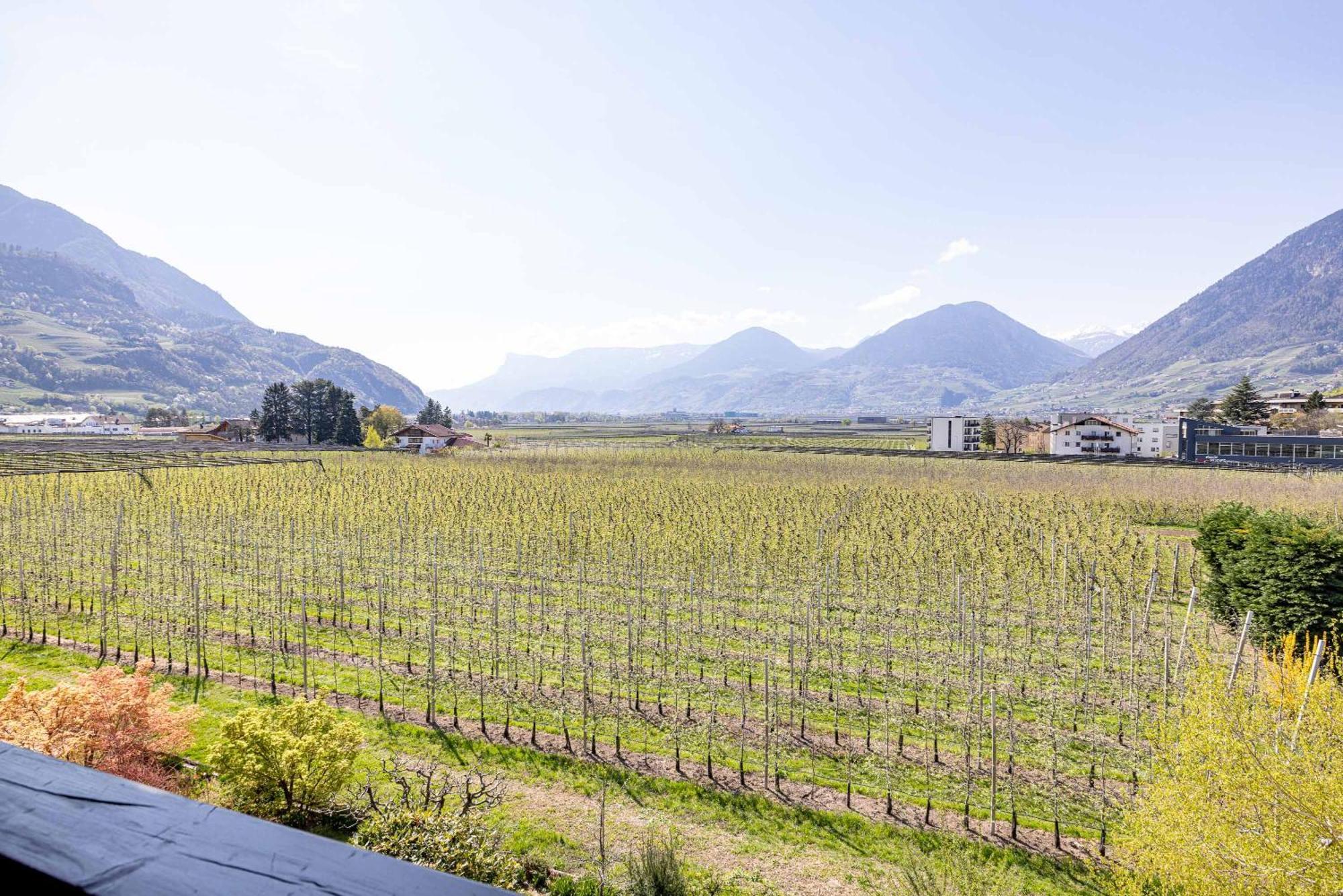 Residence Pollingerhof Merano Kültér fotó